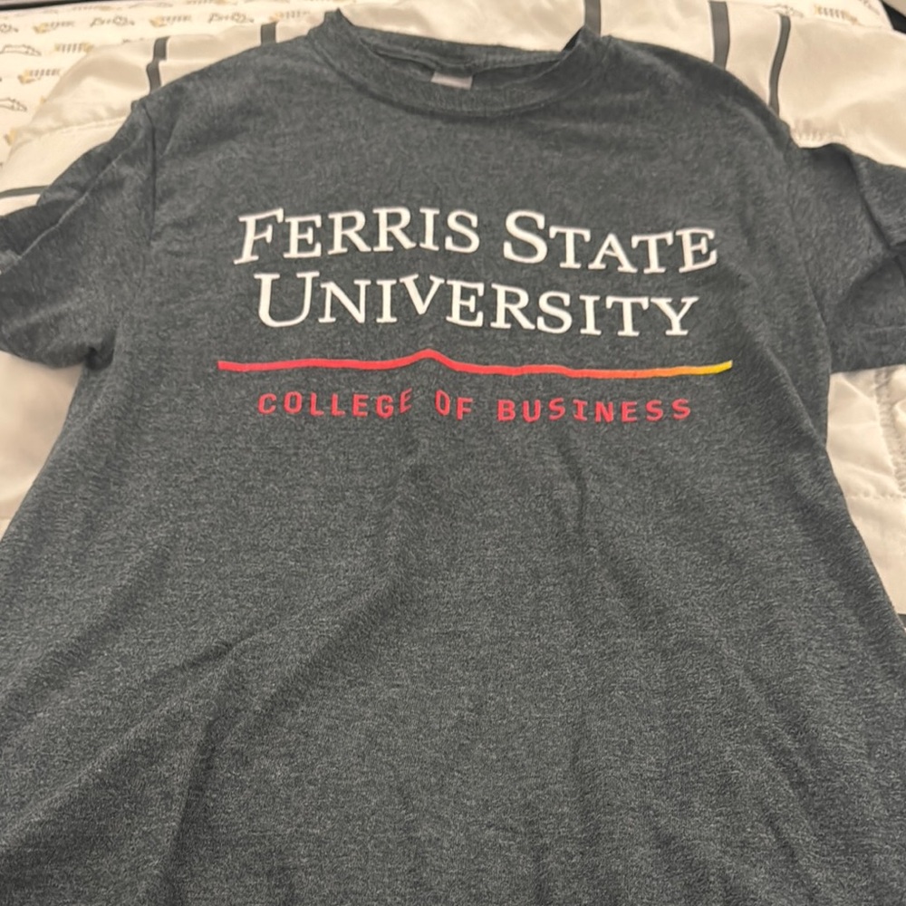 Gildan Gray Ferris State University Short Sleeve Tee